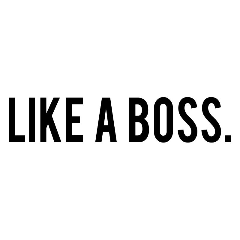Like A Boss