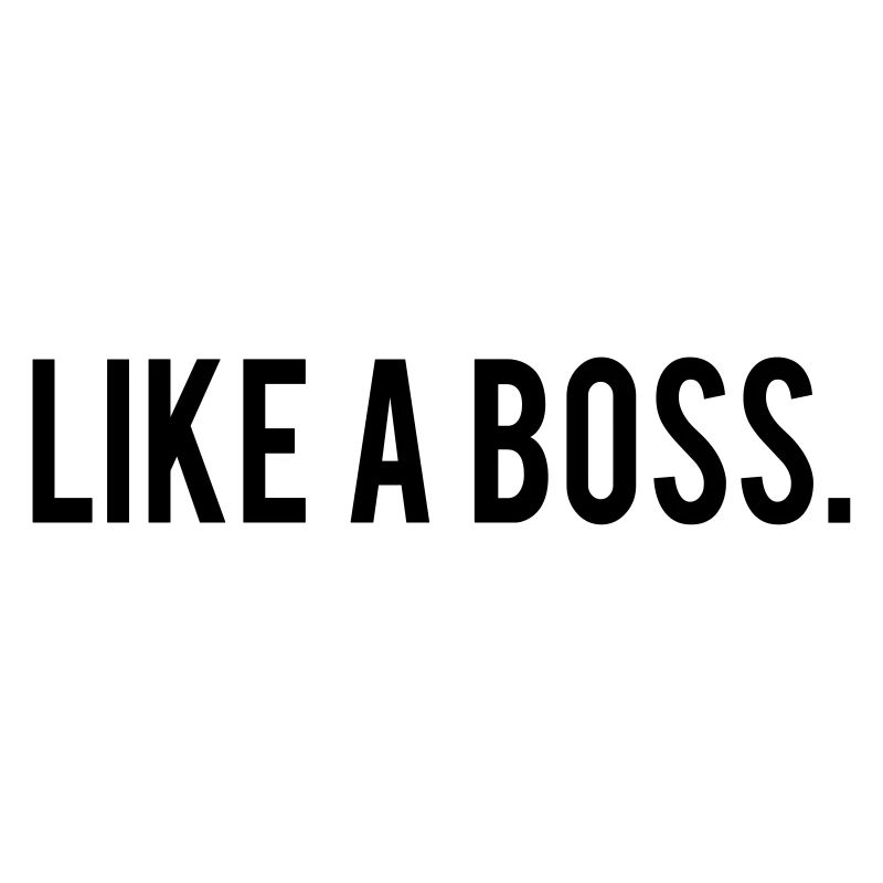 Like A Boss