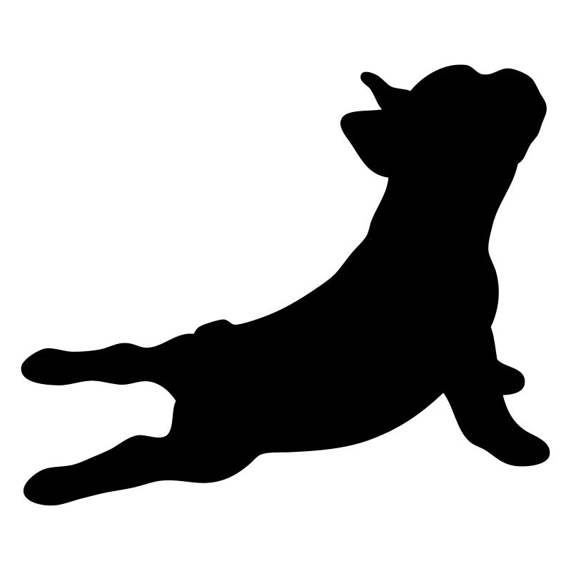 Bouledogue français - libre choix de la couleur