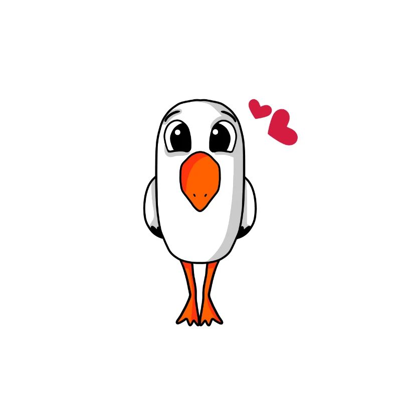Möwe