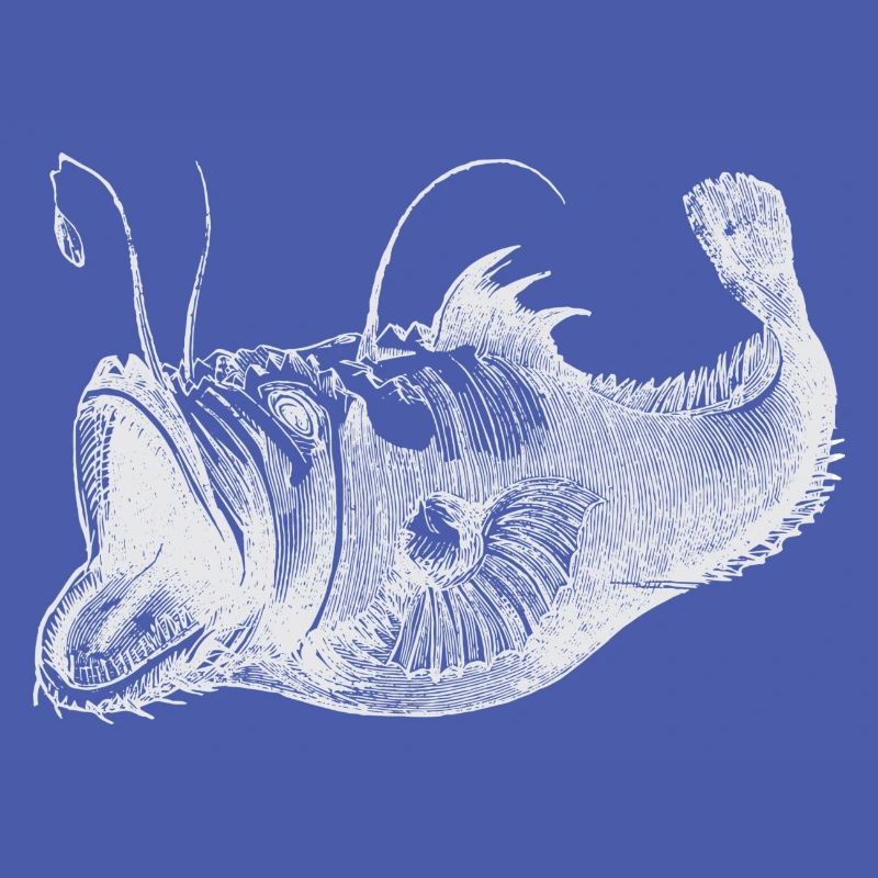 Poisson profond blanc