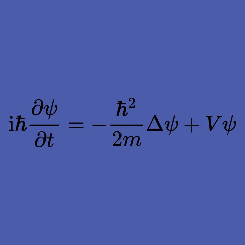 Schrödinger equation