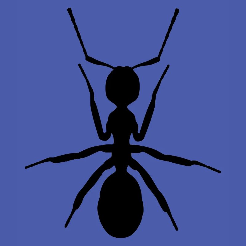 ANT