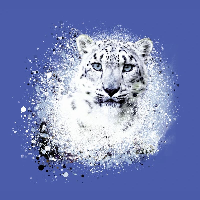 léopard de neige,chat,léopard,léopard,blanc,chat sauvage