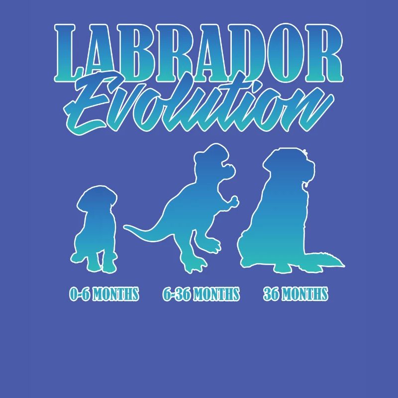 LABRADOR EVOLUTION Labrador Owner Funny