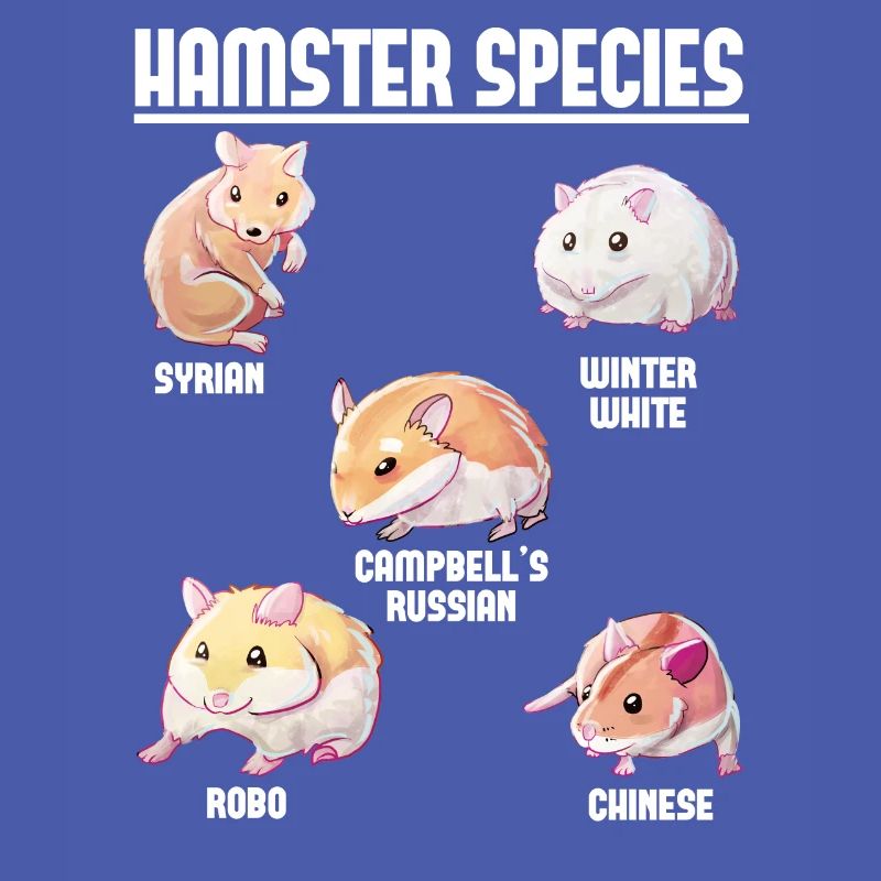 Espèces de hamsters