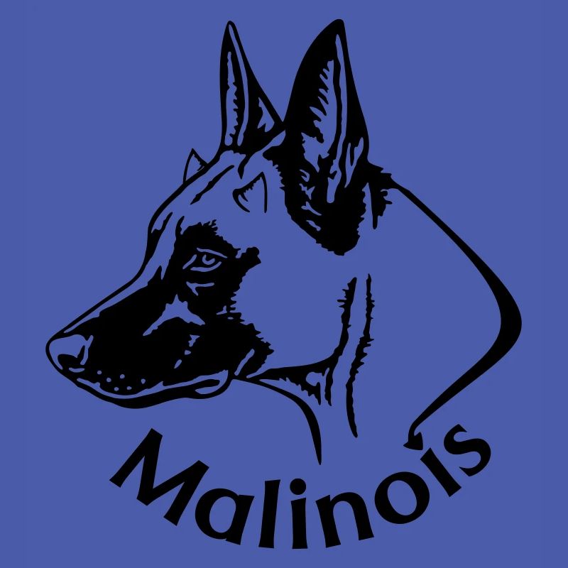 Malinois Teufel