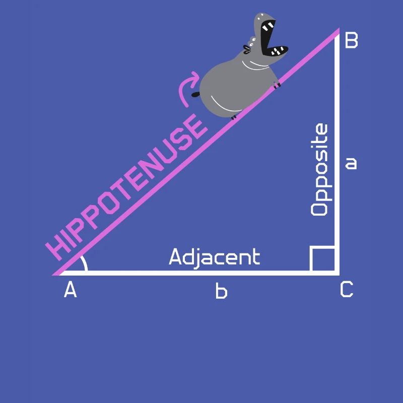 Idée de conception de cadeau de plaisanterie drôle de nerd Hippotenuse