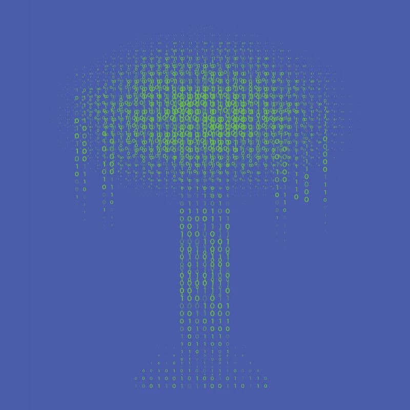 Binary Tree Encoding Computer Programmer