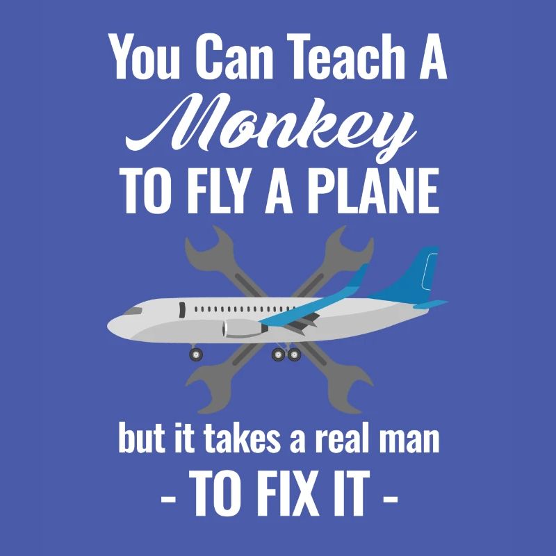 Sie Können Einem Affen Beibringen, Ein Flugzeug