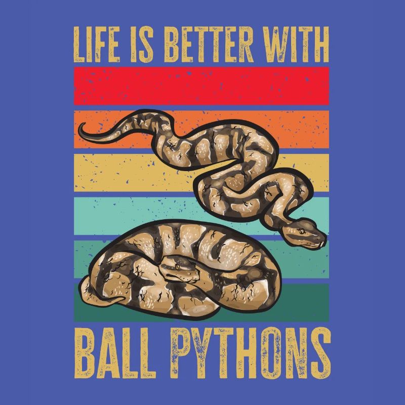 Ball Python Schlange Königspython