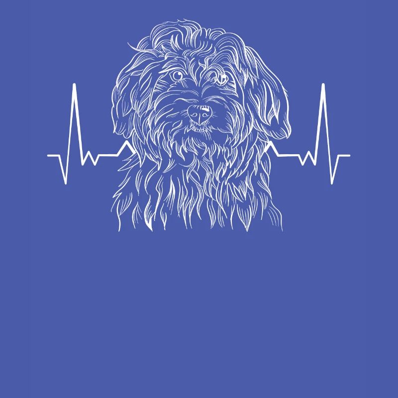 Havanese Havanese