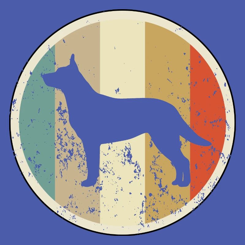 Australischer Australian Kelpie