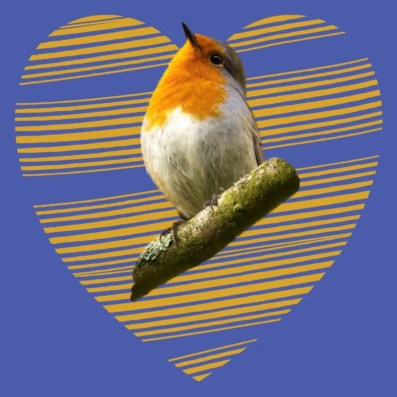 Rotkehlchen Singvogel süßer Vogel