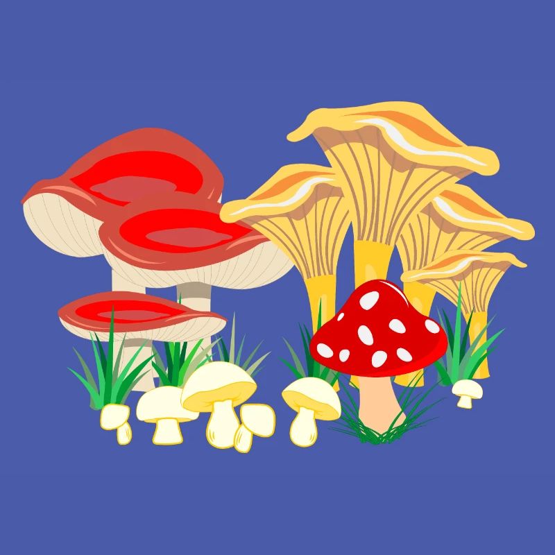 Composition colorée des champignons
