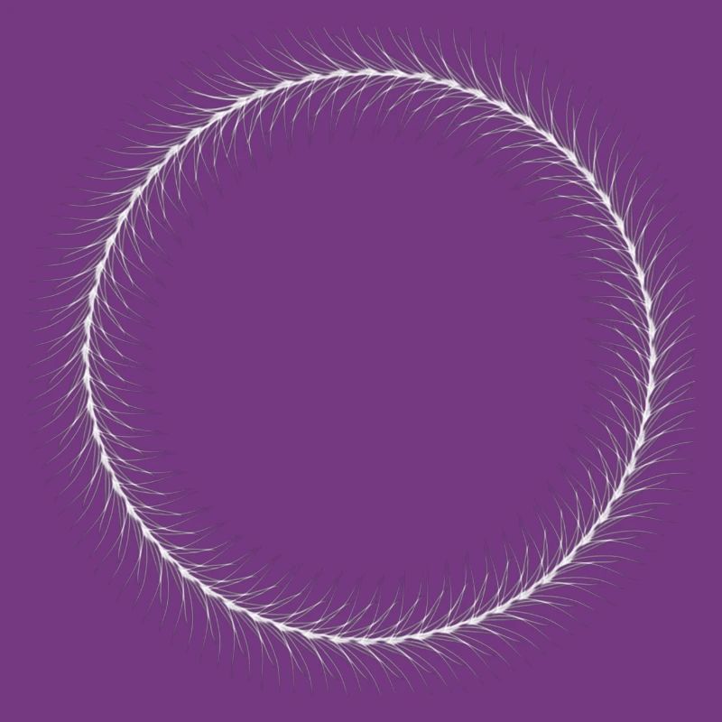 Circle - Ring - Shape - Round - Spring Ring White