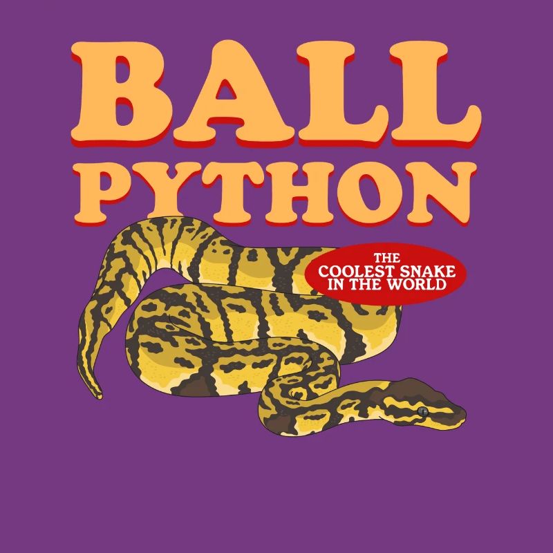 Königspython Python Schlangen Geschenk