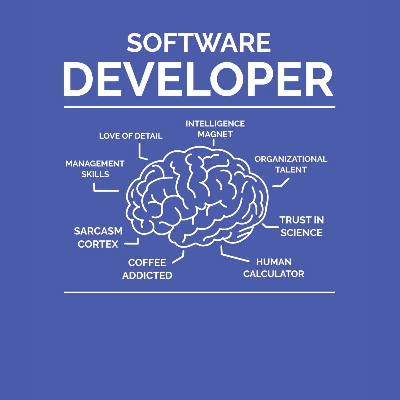 Software Developer