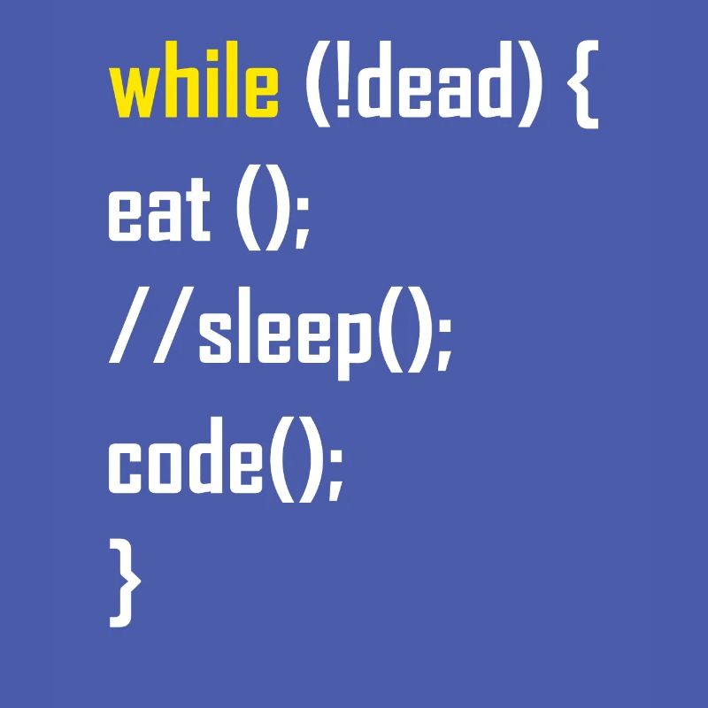 Programmer programming gift