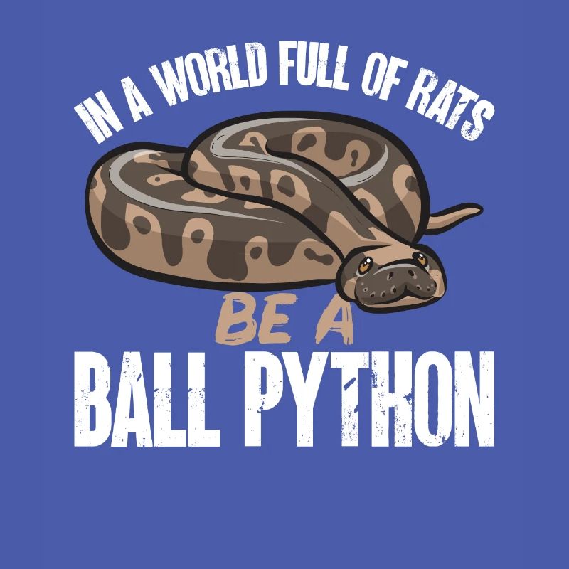 Ball Python Schlange Königspython