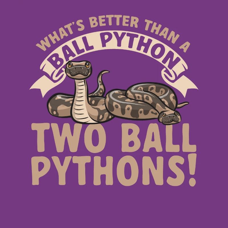 Ball Python Snake King Python