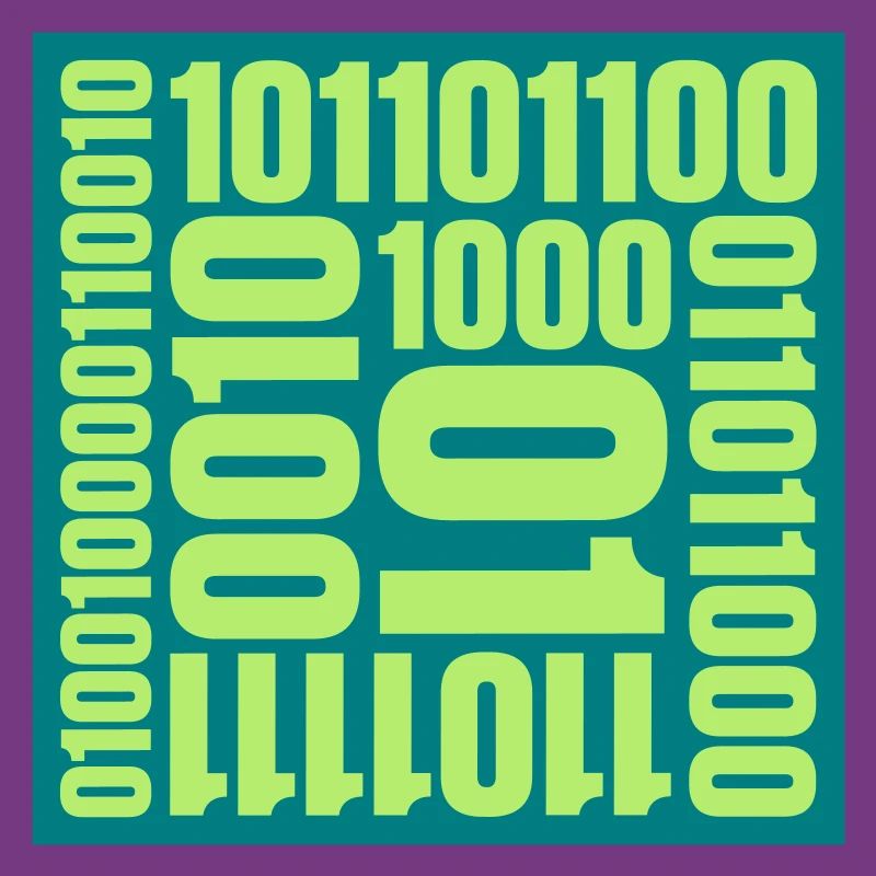 Langage de programme de code binaire