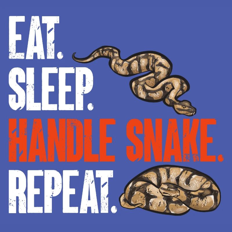 Ball Python Schlange Königspython