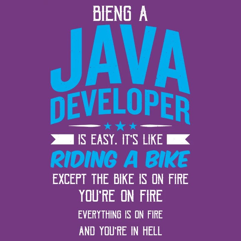 Java Developer