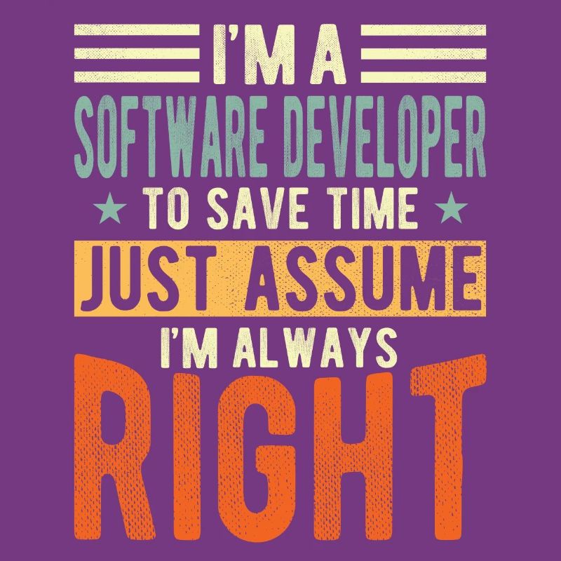 Software developer