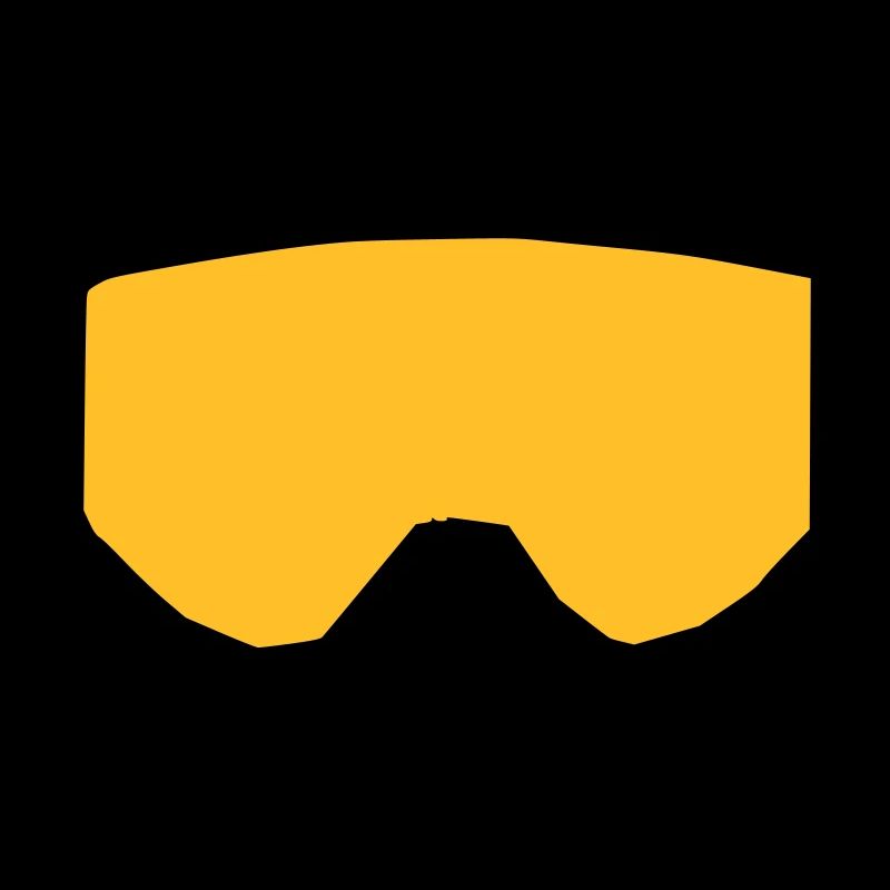 lunettes de ski