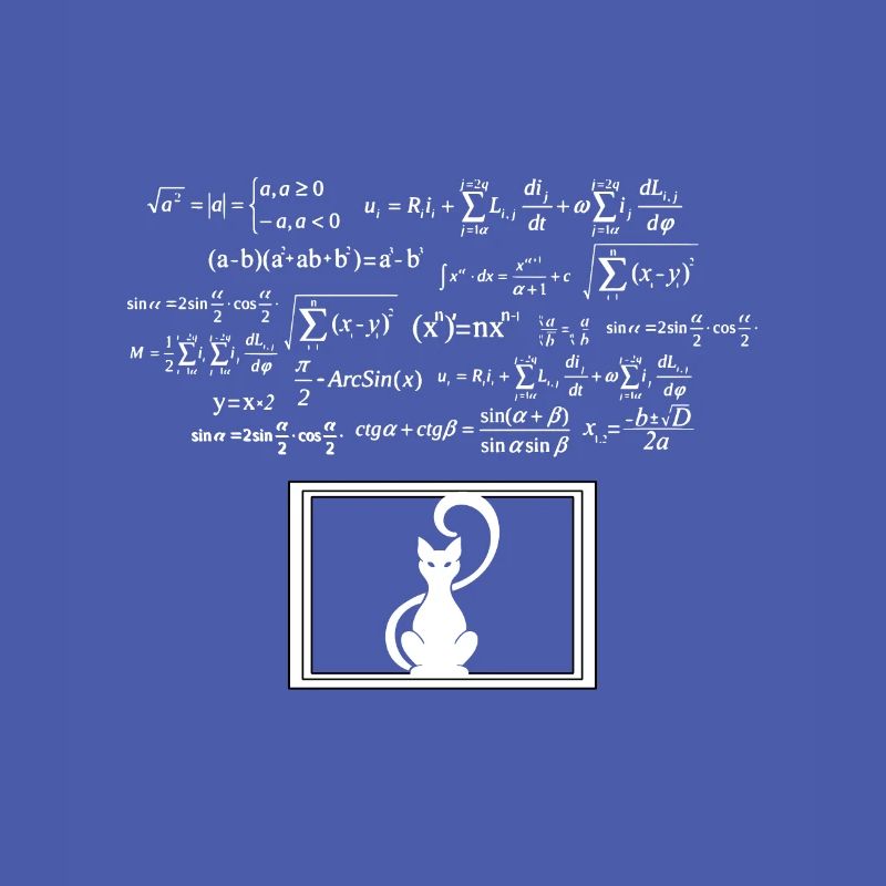 Physics Phyker Cat Quantum Physics