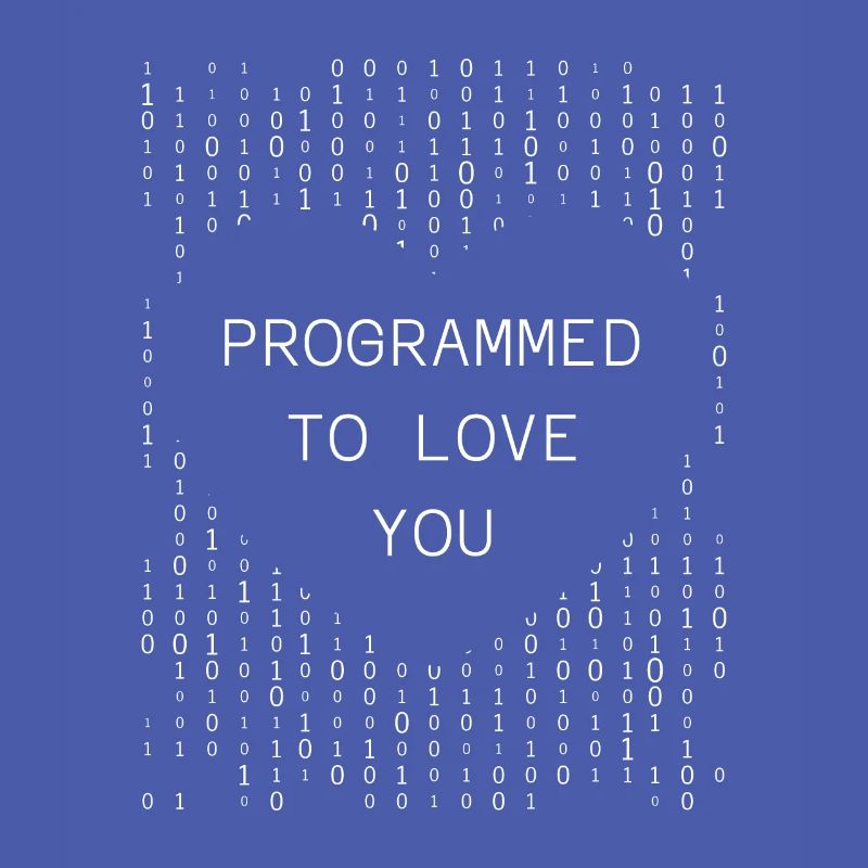 Developer Coder Programmer