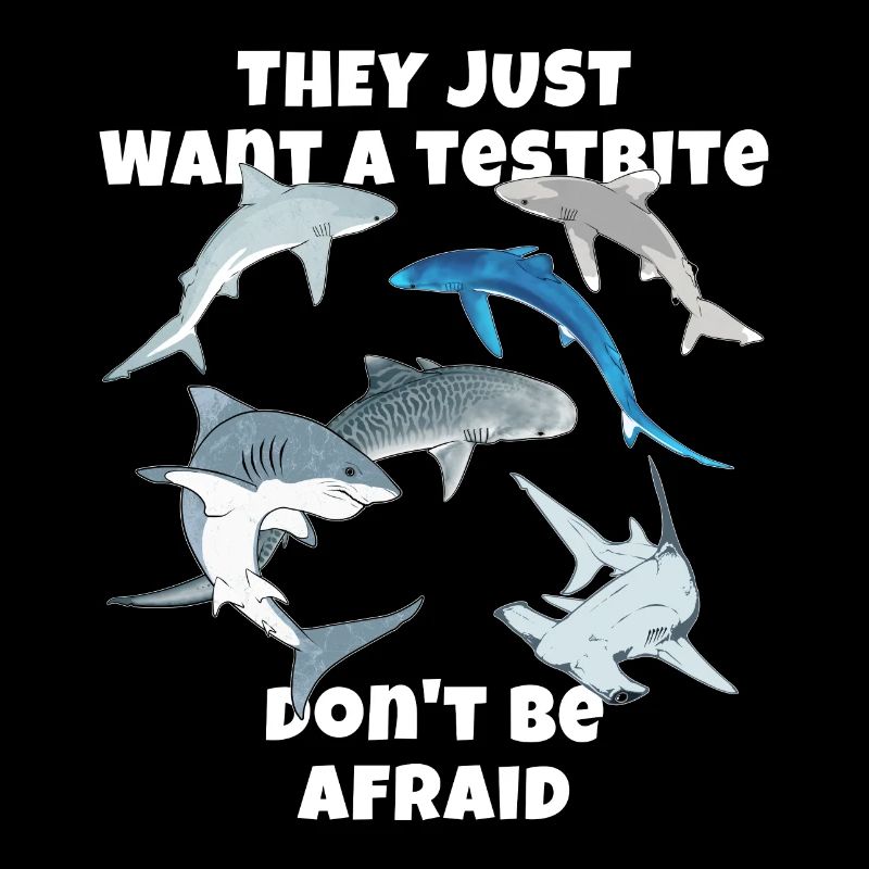 Espèces de requins : Requin bleu, Requin tigre, Requin marteau