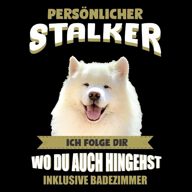 Samojede Hund - Samojeden