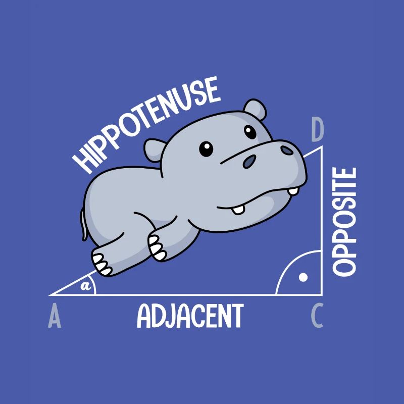 Mathematics Hippotenuse fun math