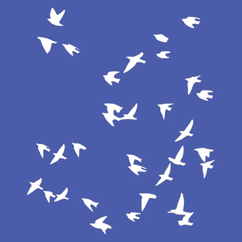 Bird flock flies