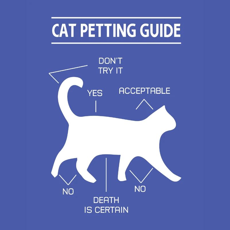 chat chat caresser guide