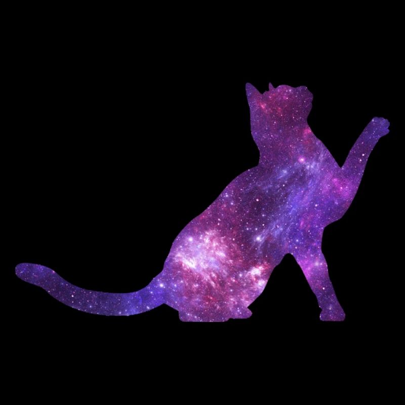 Spacecat