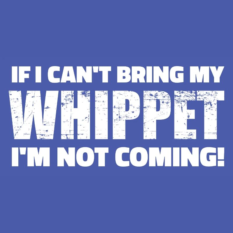 Whippet