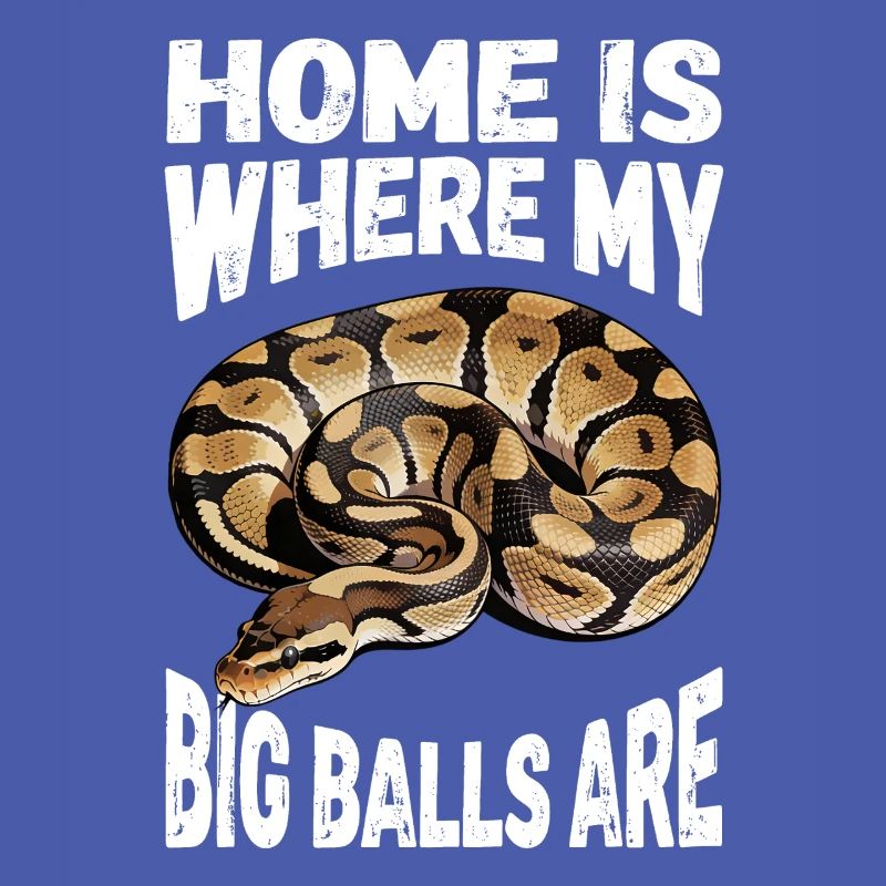 Python roi Serpents Amateurs de terrarium Python