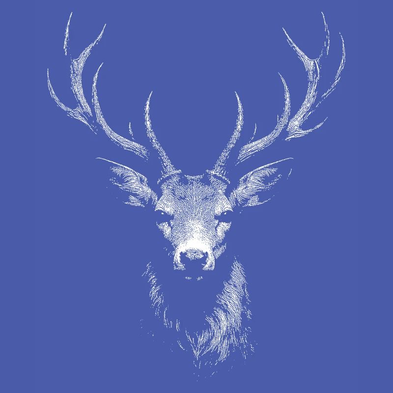 roe deer