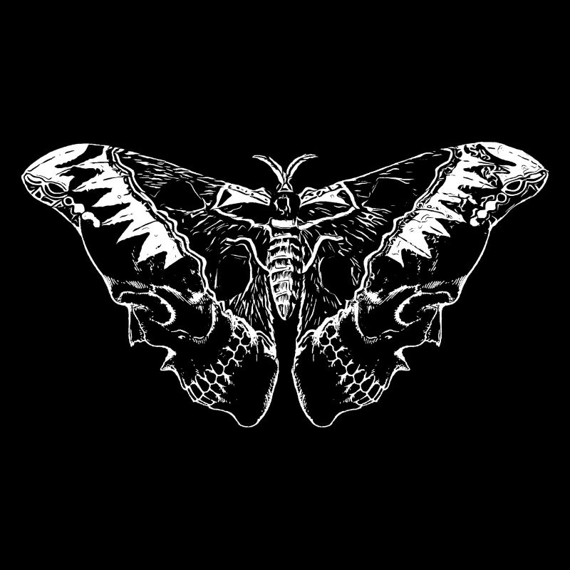 Aile morte papillon crâne
