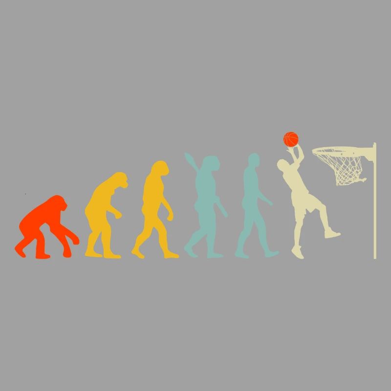 Jeu de basket-ball Evolution