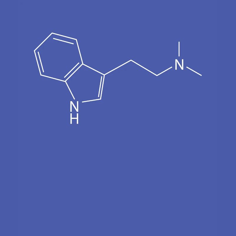 Molécule DMT Ayahuasca Dimethyltryptamine