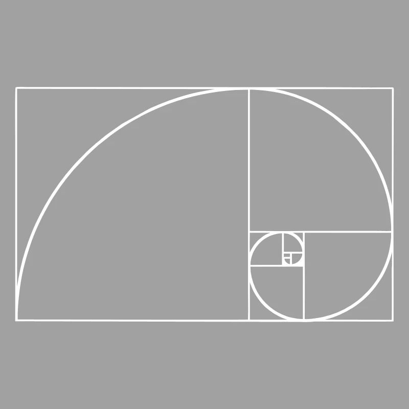 Spirale de Fibonacci, section doré, Phi, evolution
