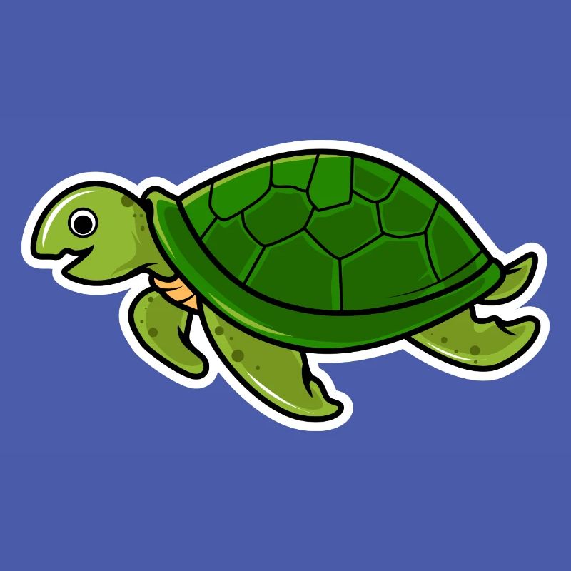 turtle