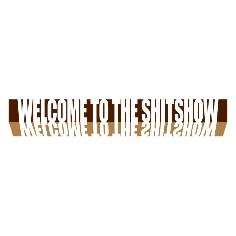 Reflection Welcome Shitshow