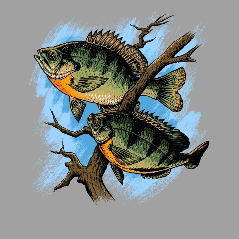 Crapet Arlequin Illustration Pêche Pullover conception