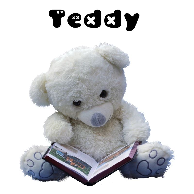 Teddy