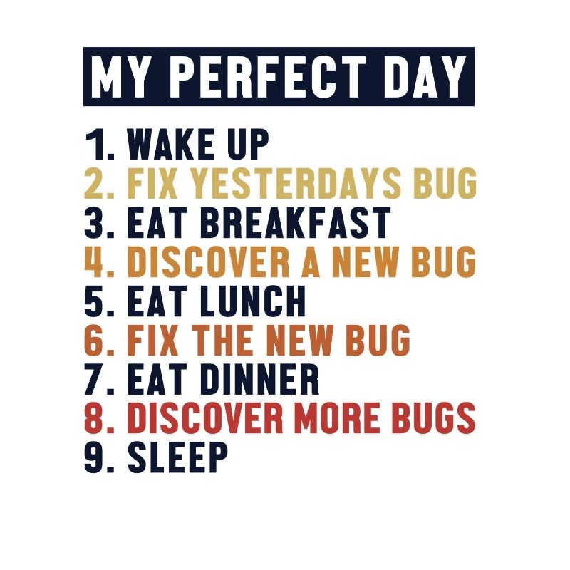Fix Bugs Perfect Day Developer Coder Programmierer